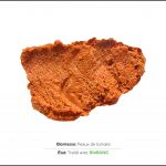 test-biomasses-peaux-tomate-2 test-biomasses-peaux-tomate-2