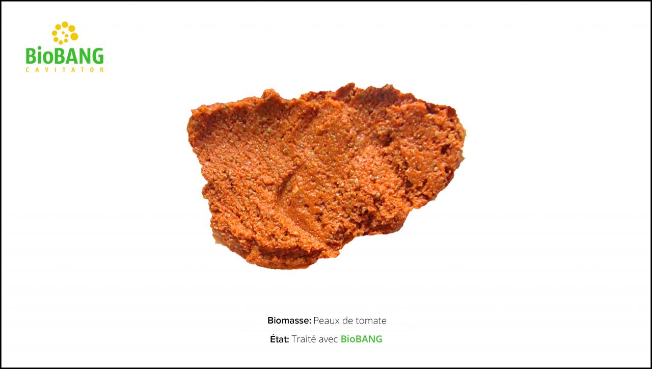 test-biomasses-peaux-tomate-2 test-biomasses-peaux-tomate-2