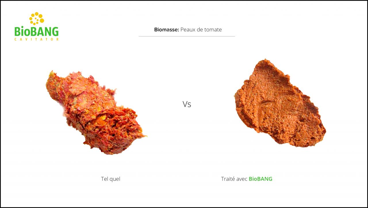 test-biomasses-peaux-tomate-3 test-biomasses-peaux-tomate-3