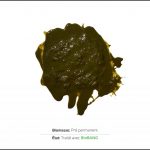 test-biomasses-pre-permanent_2 test-biomasses-pre-permanent_2