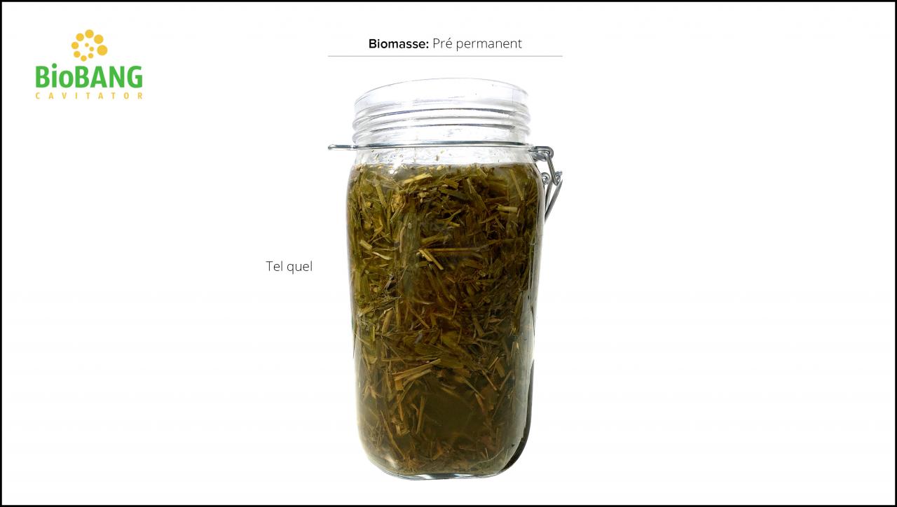 test-biomasses-pre-permanent_5 test-biomasses-pre-permanent_5