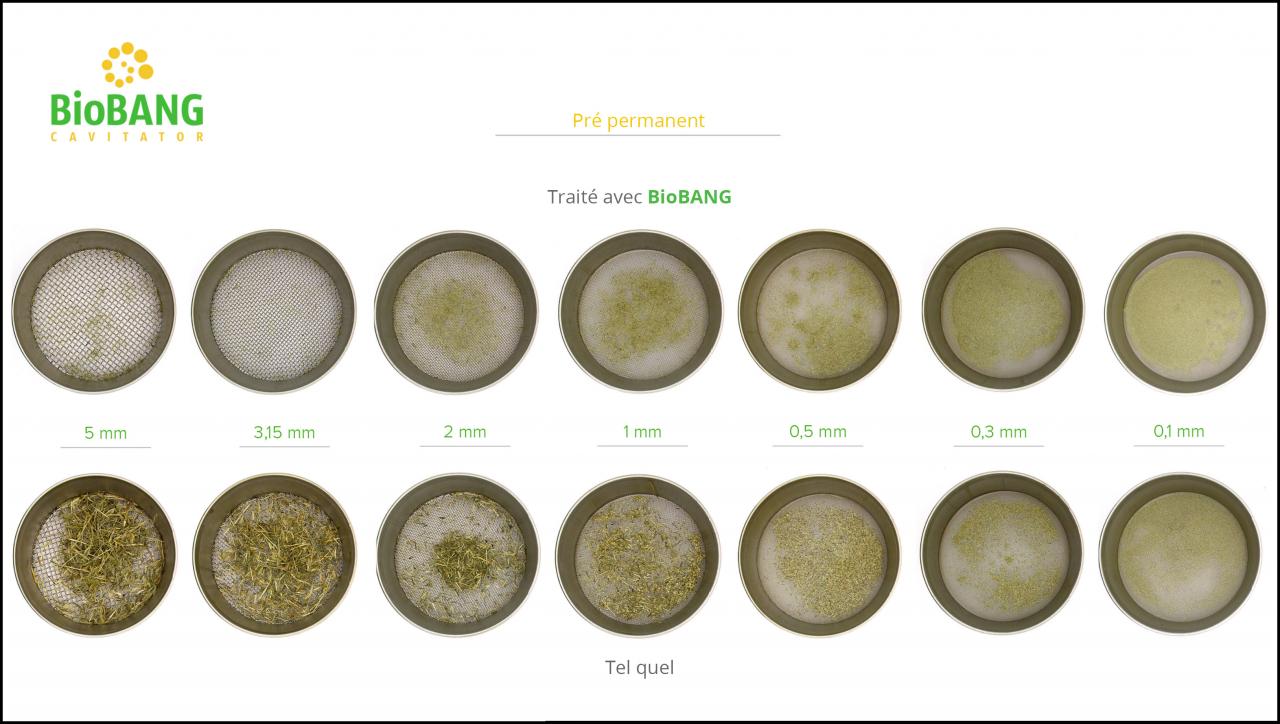 test-biomasses-pre-permanent_8 test-biomasses-pre-permanent_8