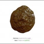 test_biomasse_letame_bovino_2