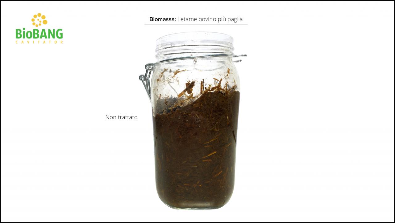 test_biomasse_letame_bovino_5