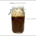 test_biomasse_letame_bovino_6