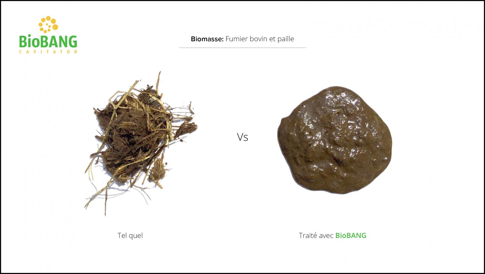 traitement_biomasse_fumier bovin traitement_biomasse_fumier bovin