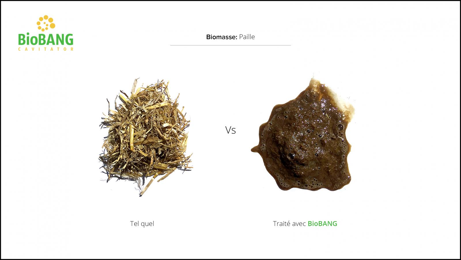 traitement_biomasse_paille traitement_biomasse_paille