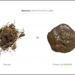 trattamento-biomassa-letame trattamento-biomassa-letame