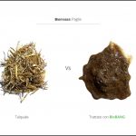 trattamento-biomassa-paglia trattamento-biomassa-paglia
