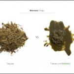 trattamento-biomassa-sorgo_3 trattamento-biomassa-sorgo_3