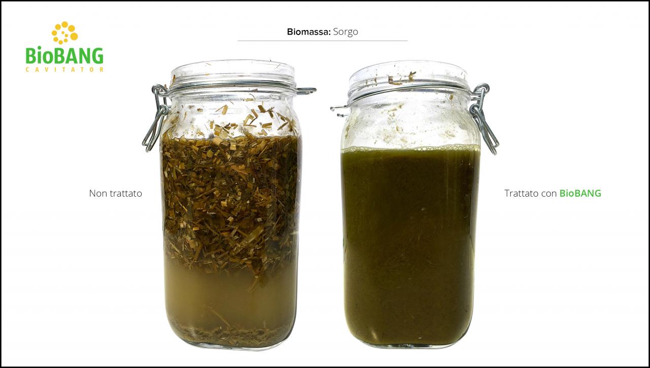 trattamento-biomassa-sorgo_4 trattamento-biomassa-sorgo_4