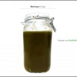 trattamento-biomassa-sorgo_6 trattamento-biomassa-sorgo_6