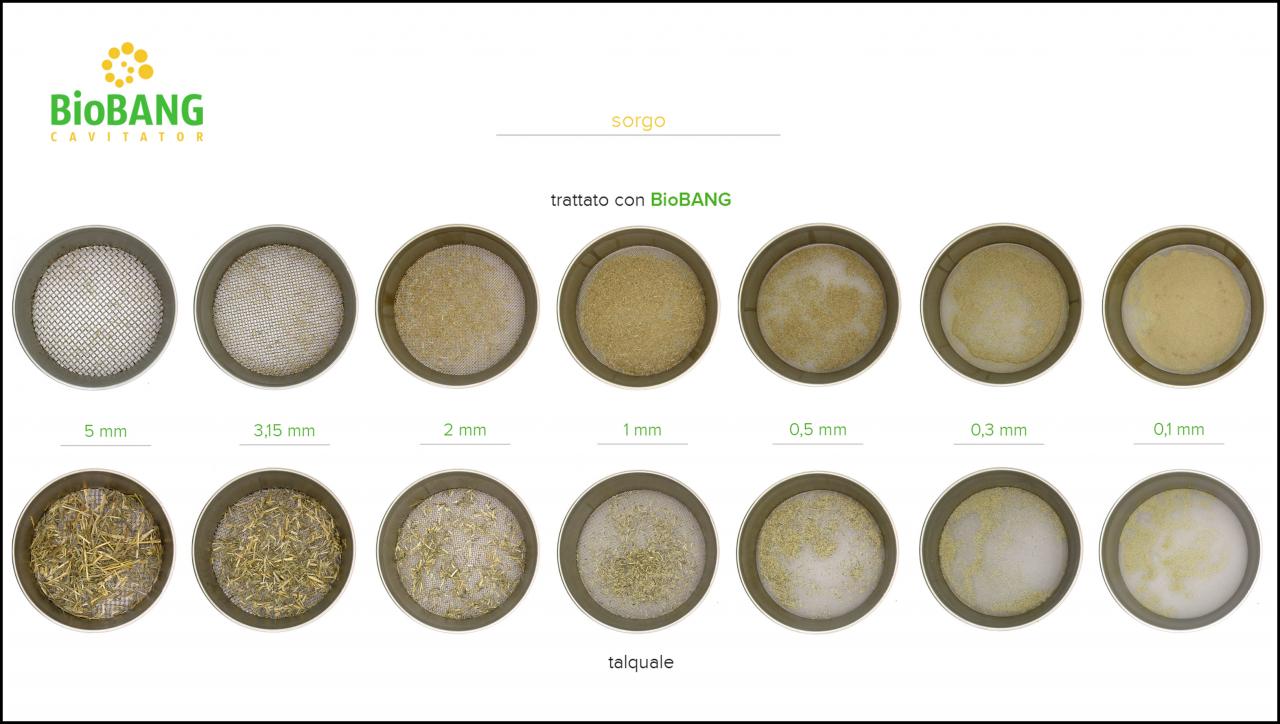 trattamento-biomassa-sorgo_8 trattamento-biomassa-sorgo_8
